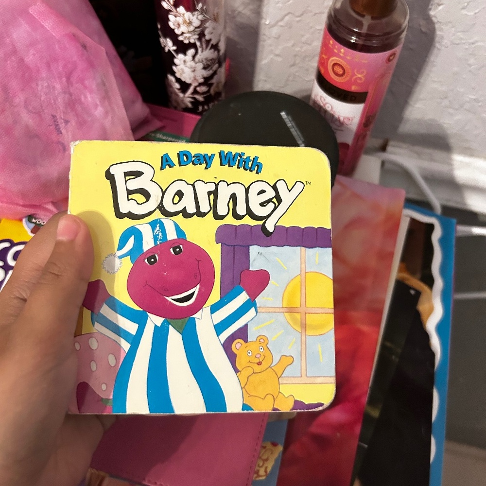 A Day With Barney Book